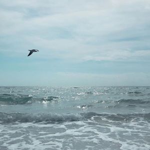 Meet your Posher, Sherlyn